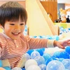 Hotel Naturwald Furano Play Area
