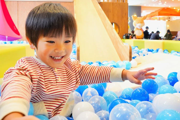 Hotel Naturwald Furano Play Area