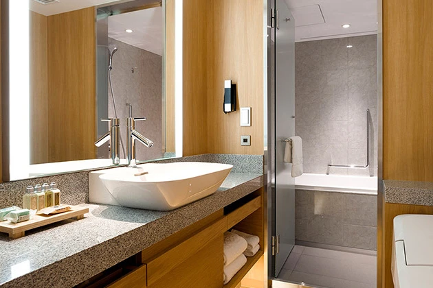 67d7e735a863f Keio Plaza Tokyo Deluxe Bathroom