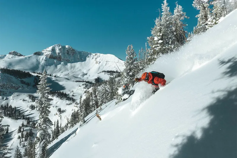 Deep Powder - Jackson Hole, USA © Jackson Hole