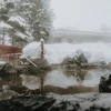 The Green Leaf - Onsen in Snow
