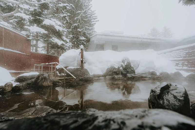 The Green Leaf - Onsen in Snow