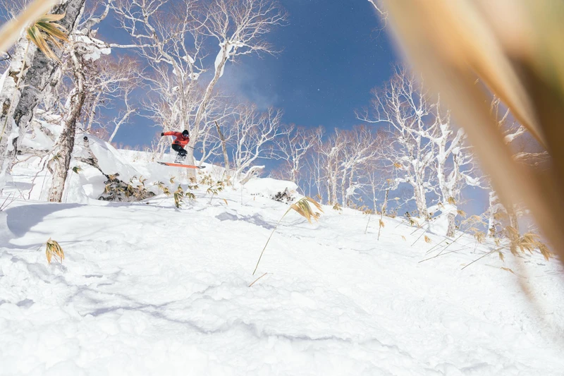 680f89ac4f0ce Ski Safari 9 1