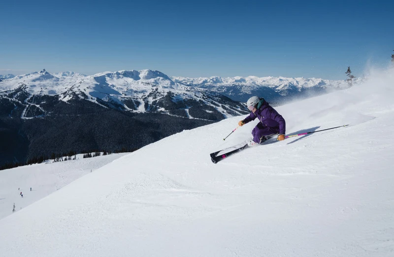 681dcb22b443320240215 WB Sylvestre 001 1