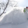 Powder & Sunshine © Whiteroom