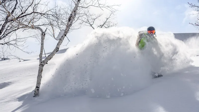 Powder & Sunshine © Whiteroom