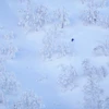 68496529b36441920 DSC01661