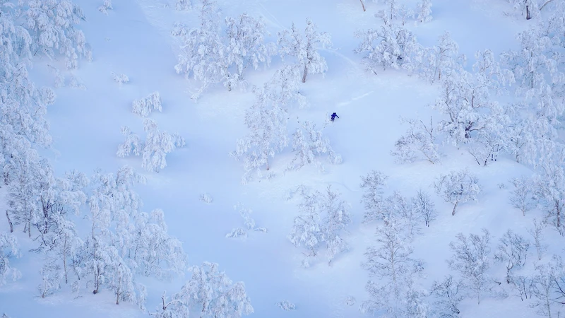 68496529b36441920 DSC01661