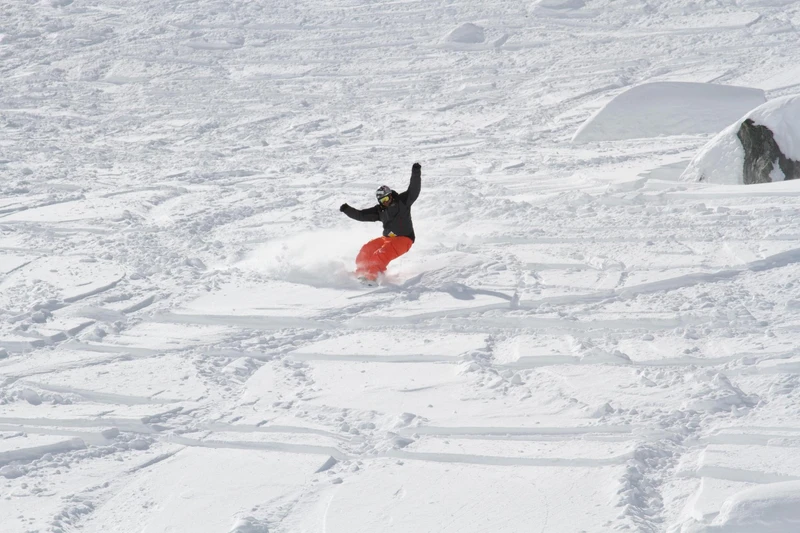 6870f3cf4107c Shands 20213