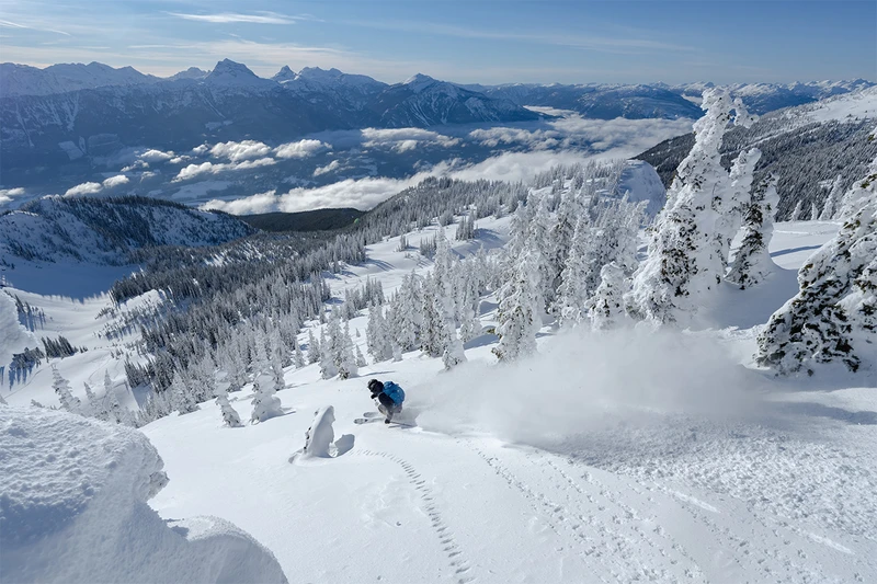 Bluebird Powder in Revelstoke © Destination BC / Reuben Krabbe
