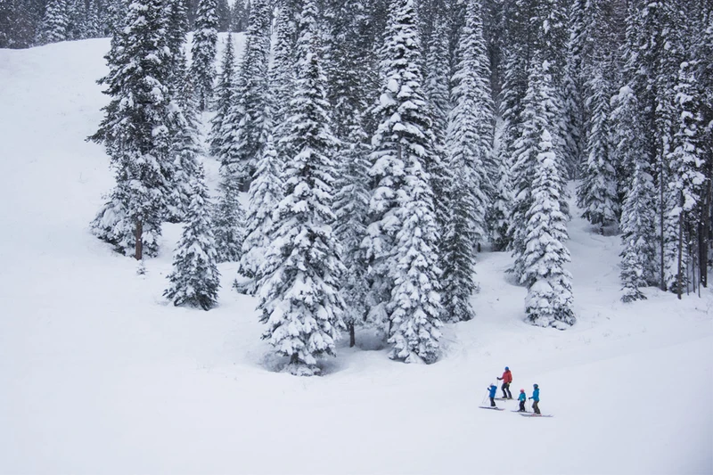 Kimberley Family Skiing in Fresh Snow © Destination BC / Kari Medig