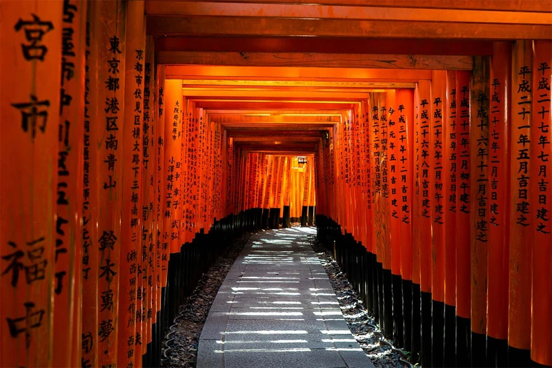 Fusihimi Inari, Kyoto, Japan © David Emrich