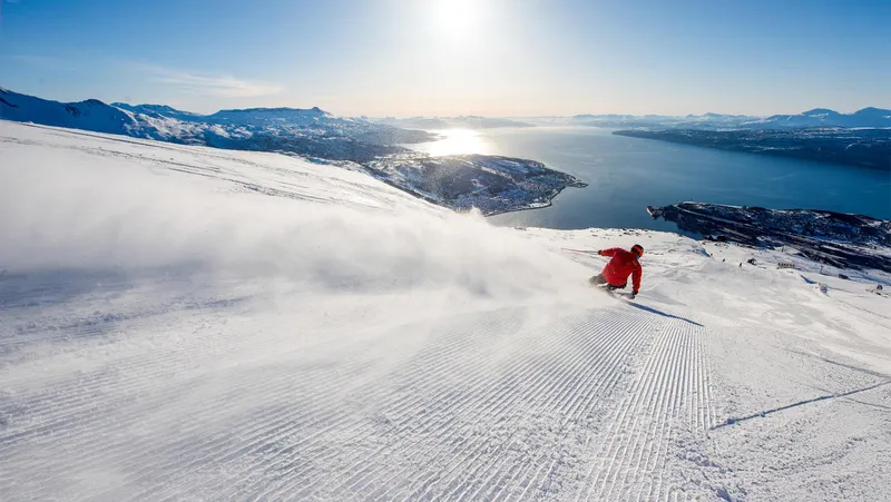 Skiing in Narvik, Norway © Rune Dahl