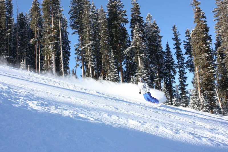 68f0b00503ed7 Powder 3 1