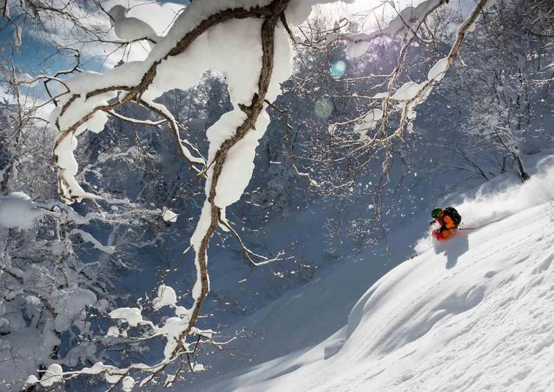 691c8ab1e5342furano ski resort 2016 25617533914 o 3