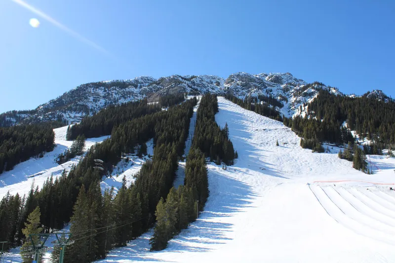 6926f460ca141 IMG 4079 1