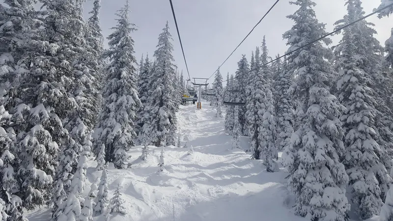 69271ed3e91b720170331 112637