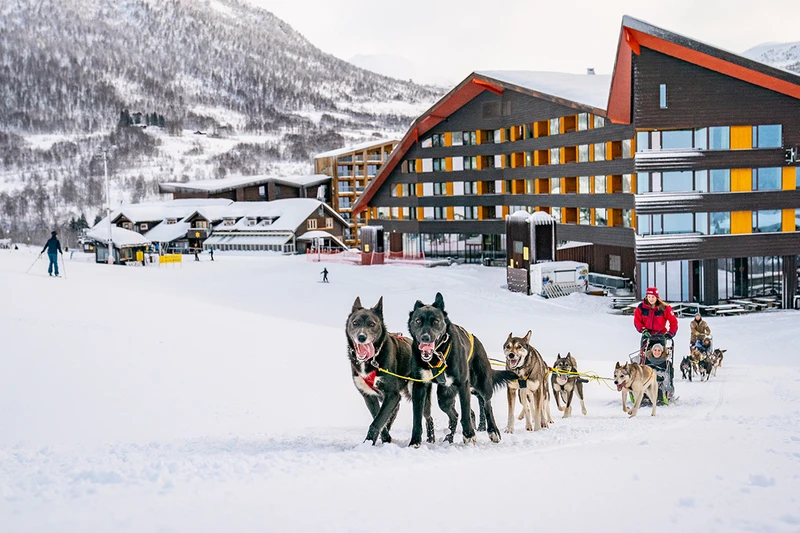 Dog sledding from Myrkdalen Hotel © Sverre Hjornevik