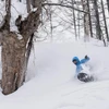 Deep Powder Tree-Skiing