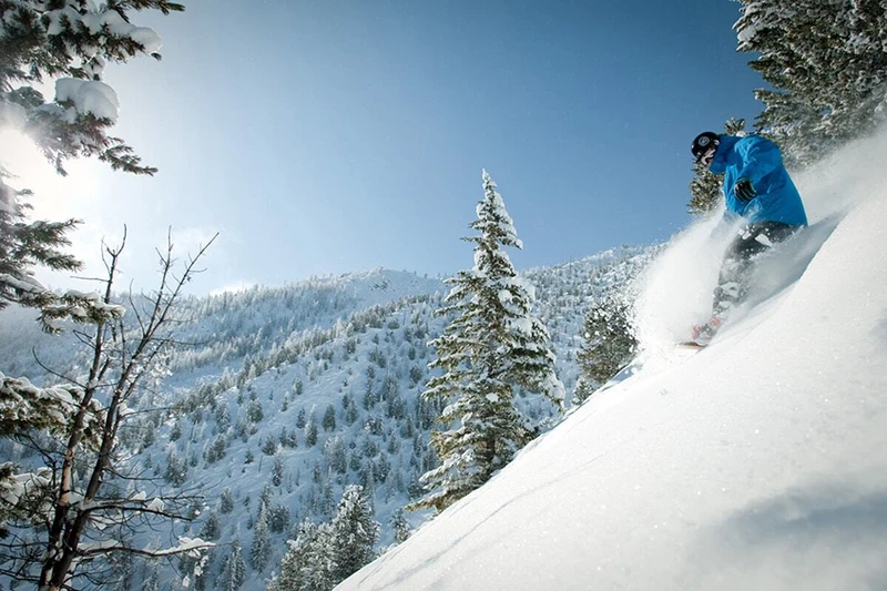 5d1dc5c1b40c9panorama skiing credit panorama mountain resort 01