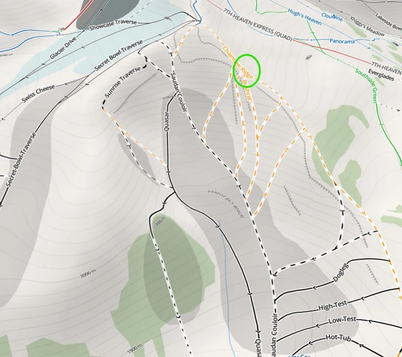 Bushrat on Chainsaw Ridge