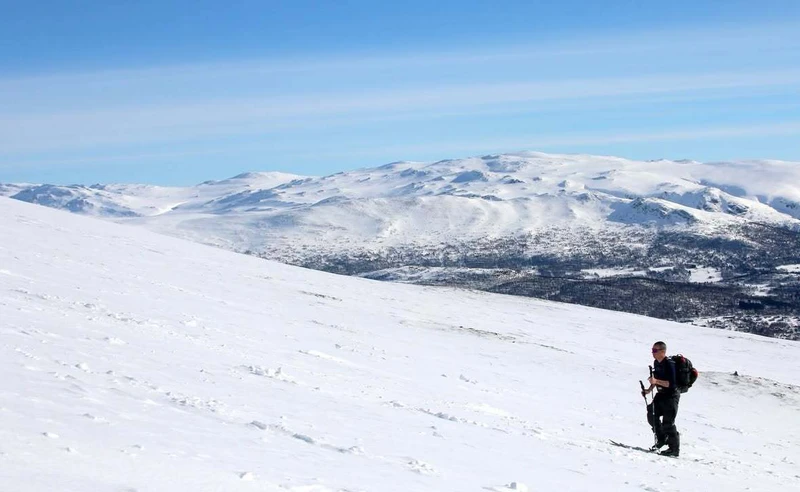 Top of Storhornet in Oppdal