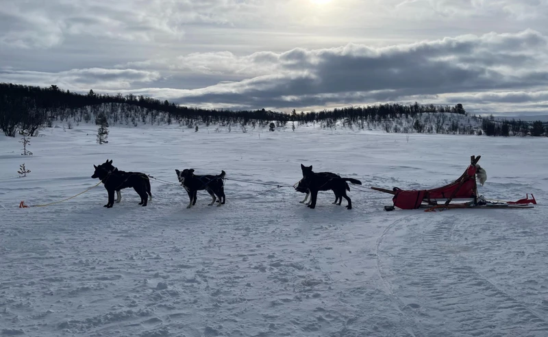 Dog sledding in Geilo Norway Jo Harper March 2026