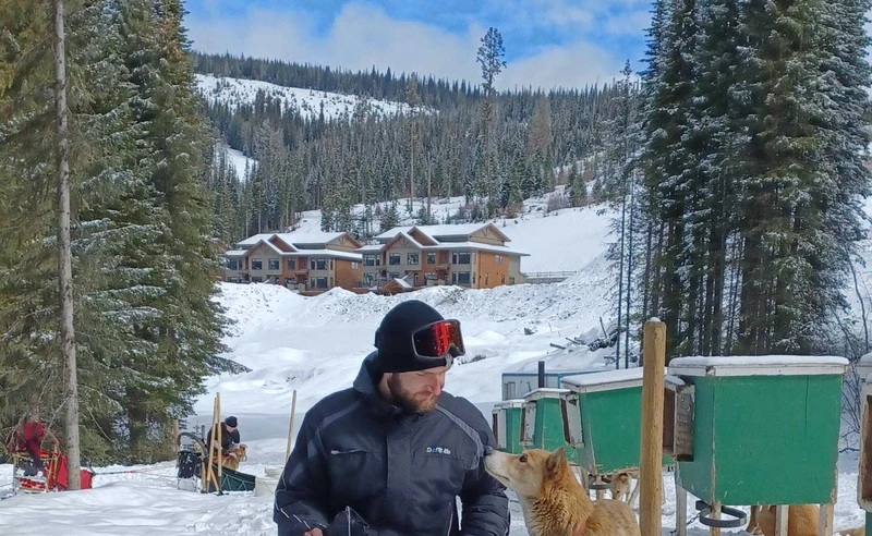 Dog sledding in Sun Peaks Canada Jayne O Brien March 2026