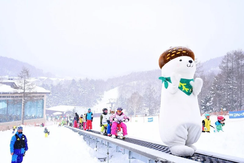 Family Snow Park Prince Hotels