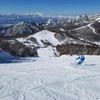 Empty Slopes in Shiga Kogen