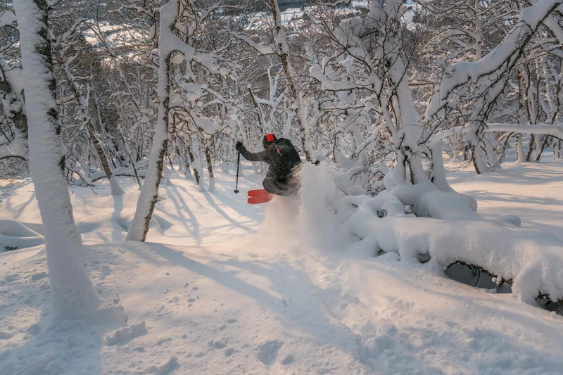 Fun in the trees in Oppdal © Marius Nilsen / Alpinco