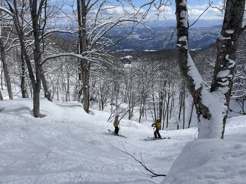 Andy Evans and Richard tree-skiing Japan March 2026