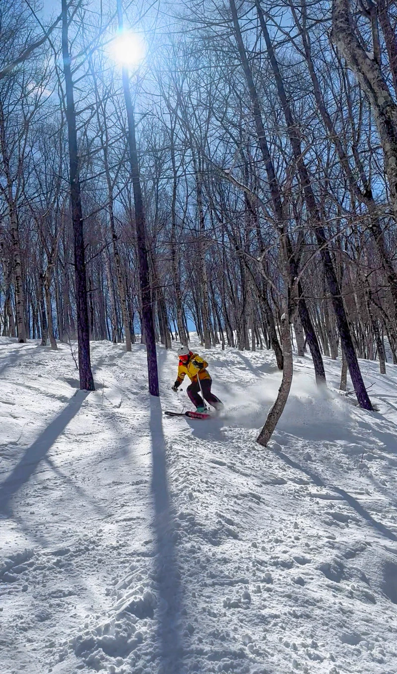 Founder Richard Rice tree skiing in Madarao