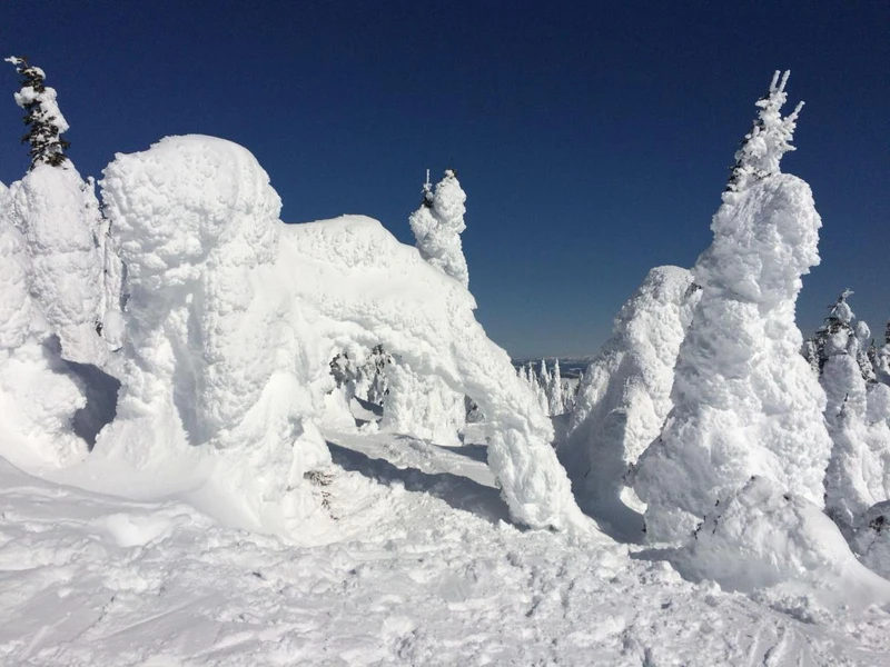 Sun Peaks Snow Ghosts - Joan Parkes, March 2018