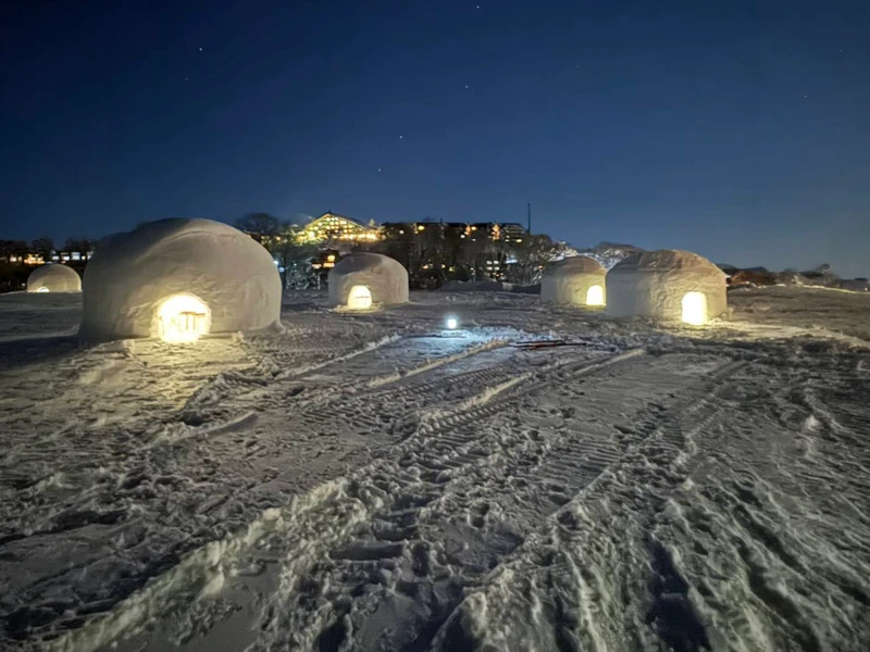 Liyama Snow Huts