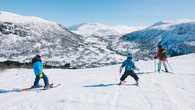 MYRKDALEN FAMILY SKIING BALDRY CHRIS 4036