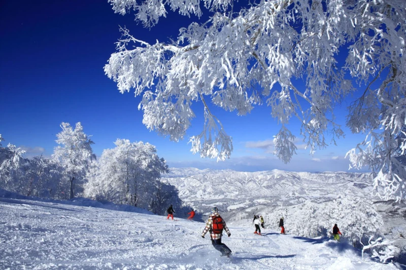 Nozawa Onsen Scenic Bluebird Day Ski Japan Holidays