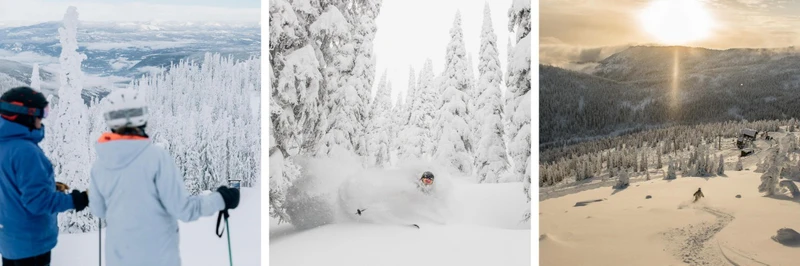 Off the B Ceaten Track Ski Safari Trio