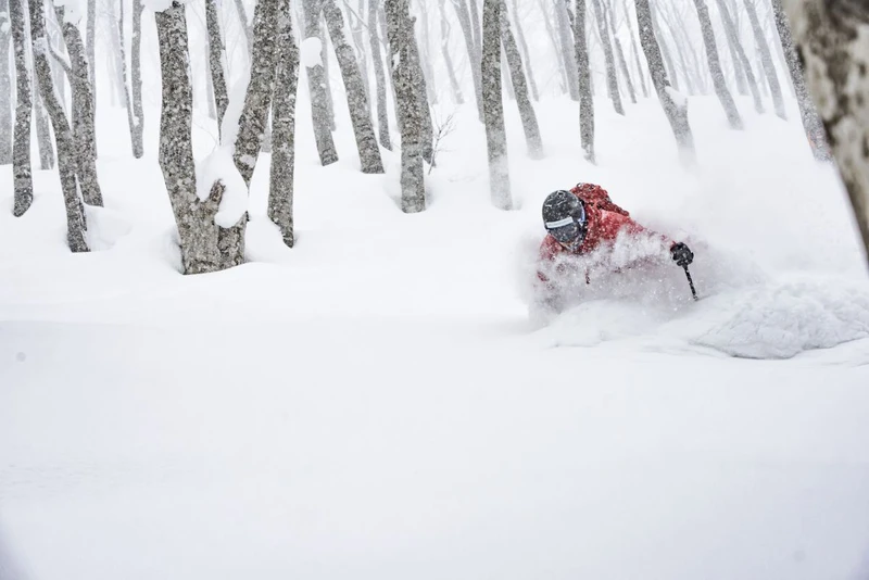 Powder Skiing in Hakuba © Hiroya Nakata