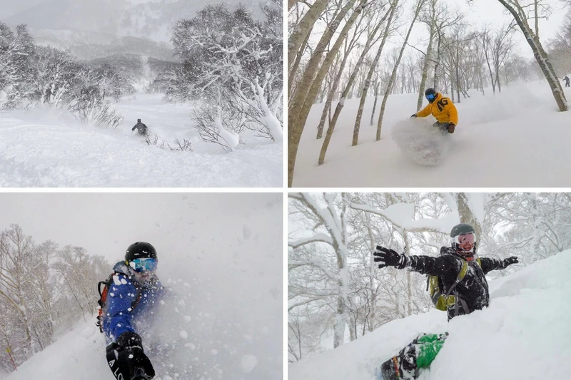 Powder in both Niseko and Hakuba