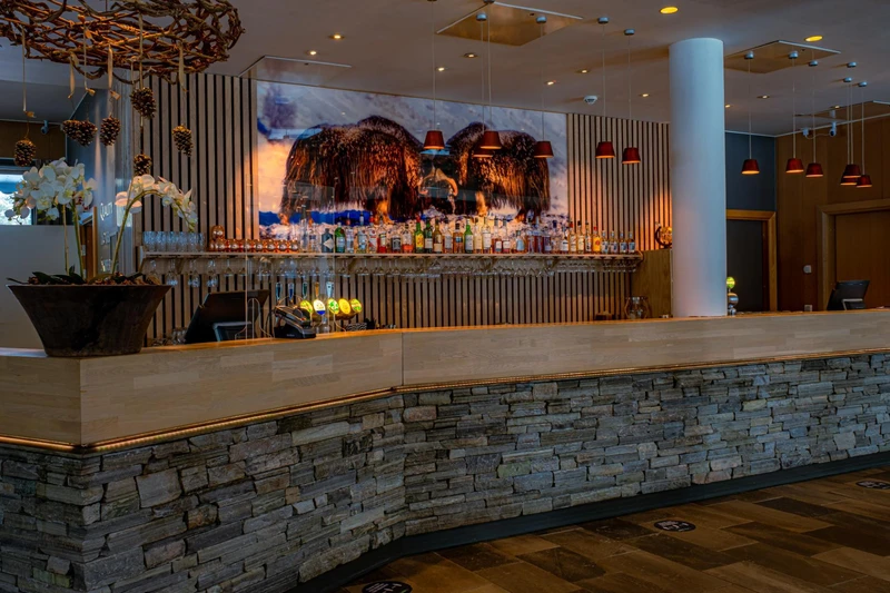 Quality Hotel Skifer - Bar