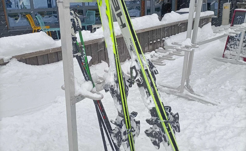 Skis in Trysil Norway Susan Bowman January 2026