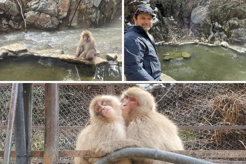 Snow Monkey Trip