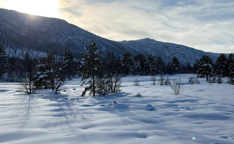 Snow in Geilo Norway Nicola Harvey February 2026
