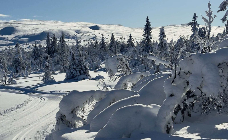 Snow in Kvitfjell Norway Susan Whiten February 2026