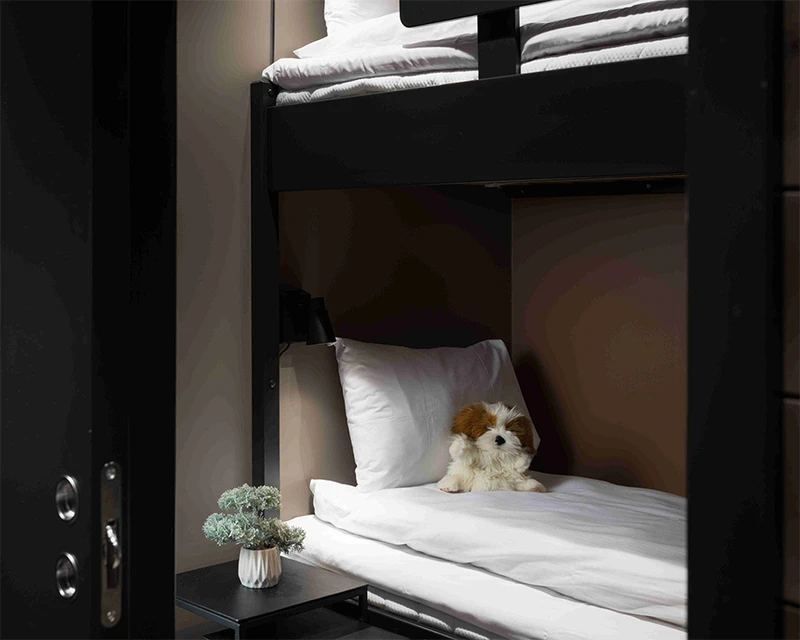 Studio Room Bunk Room Riddergaarden Mountain Lodge