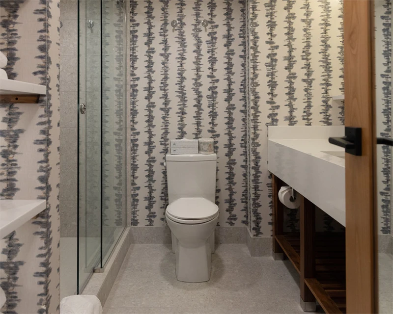 Bathroom with toilet and shower