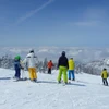 Shiga Kogen - Terakoya Ski Area