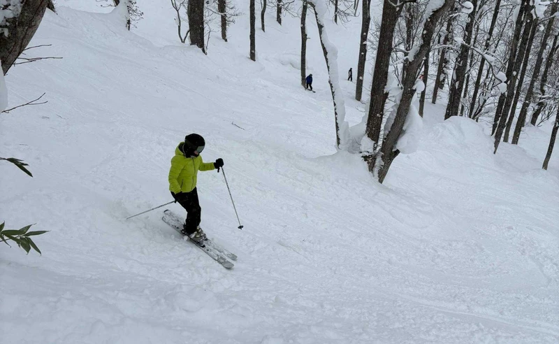 Tree skiing in Niseko Japan Jenny Byrne January 2026