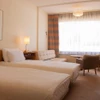 Shiga Kogen Prince Hotel East Building Twin Room
